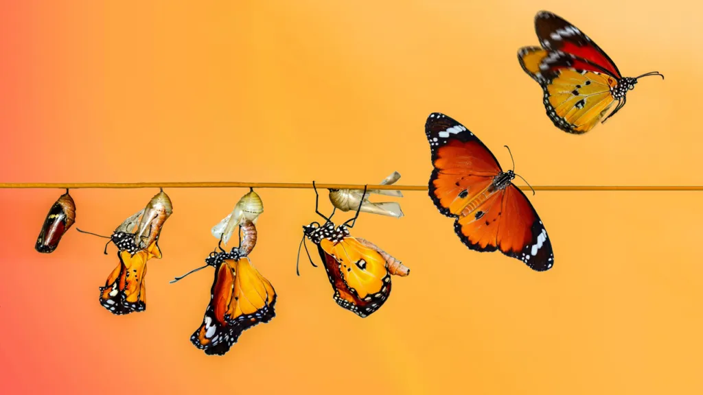 The Strategic Metamorphosis of the Sri Lankan Information Technology Sector: An Analysis of the 2026 Inflection Point